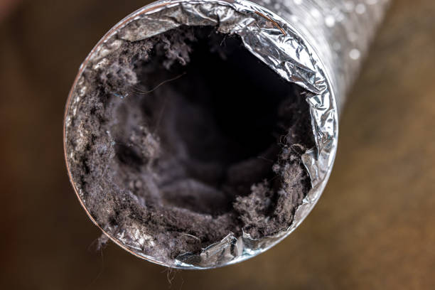 Best Air Duct Cleaning Near Me  in Fate, TX