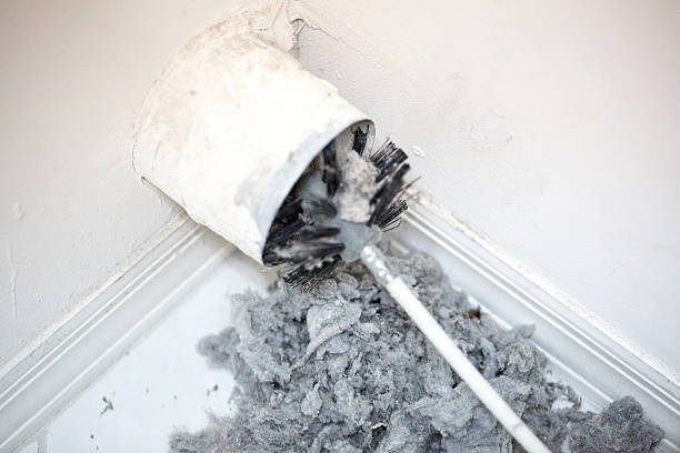 Best Professional Duct Cleaning Services  in Fate, TX