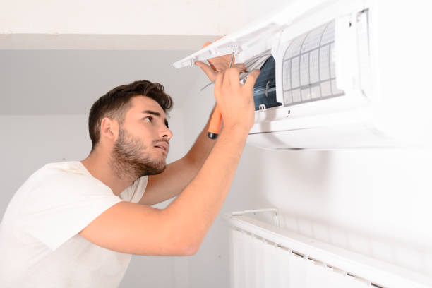 Best Air Duct Mold Removal  in Fate, TX